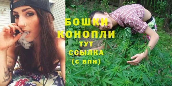 молекула духа Вяземский