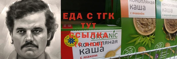молекула духа Вяземский