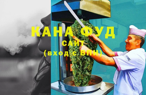 молекула духа Вяземский
