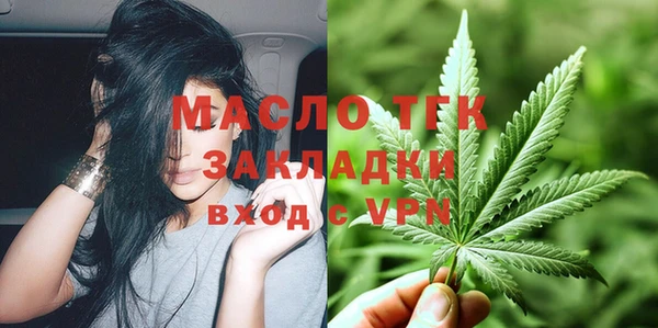молекула духа Вяземский