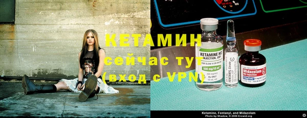молекула духа Вяземский