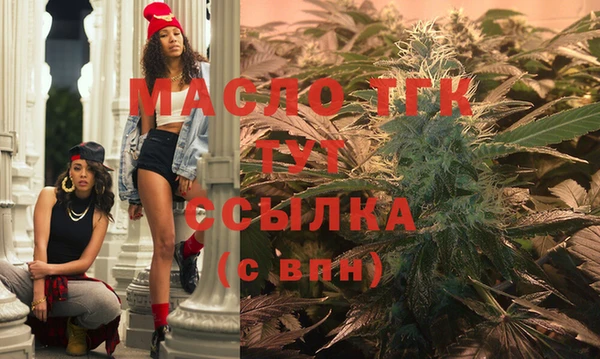 молекула духа Вяземский
