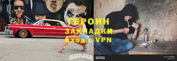 молекула духа Вяземский