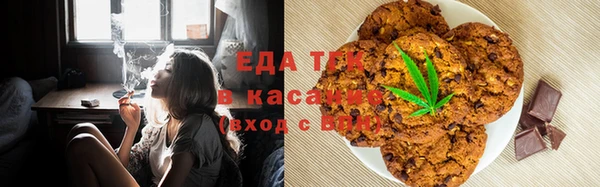 молекула духа Вяземский