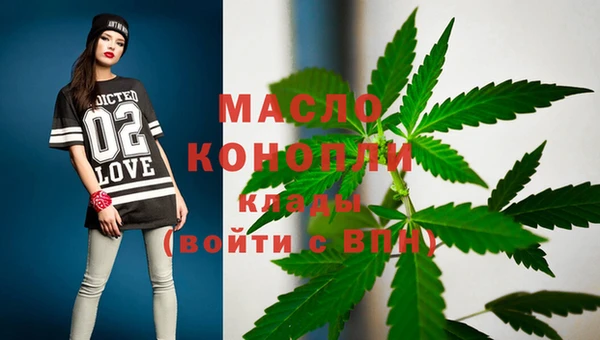 молекула духа Вяземский